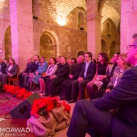 aline-lahoud-recital-zgharta-2014-photo-chady-souaid-6